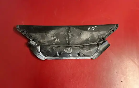 BMW X5 F15 Wiper trim 7309204 51717309204