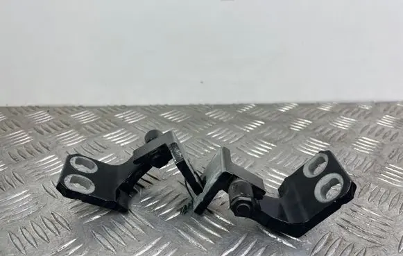 Jeep Compass Rear door hinge set 