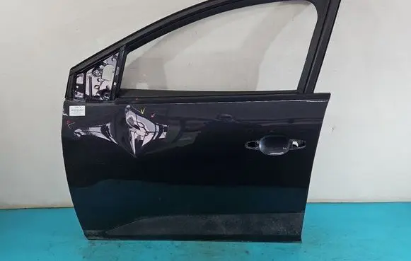 Dacia Sandero III Front door IMPRK1444019