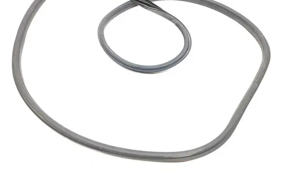 Nissan Rogue Rear door rubber seal (on body) 
