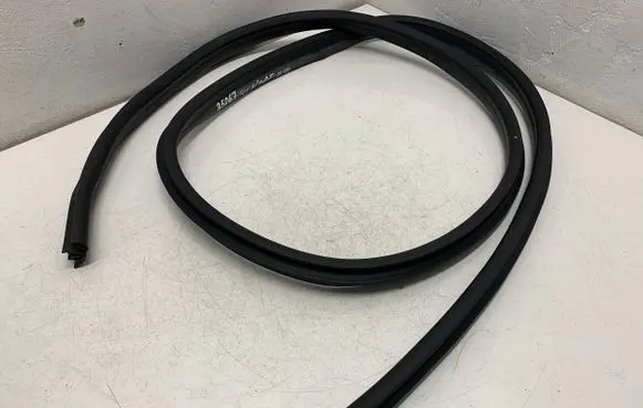 Ford Ecosport Rear door rubber seal (on body) 