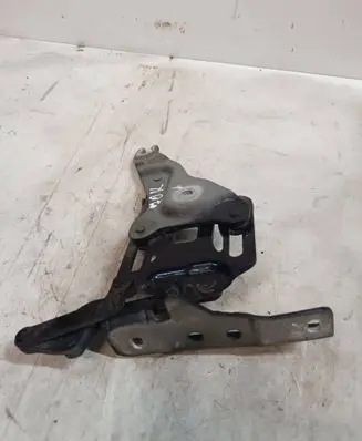BMW X5 E70 Engine bonnet/hood hinges 7148347