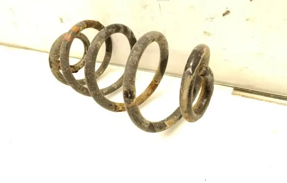 Rear coil spring