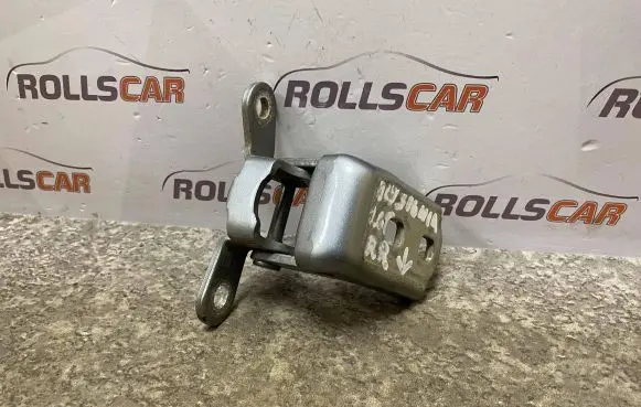 Opel Insignia A Rear door lower hinge A046574
