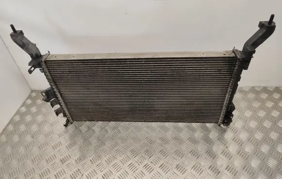 Renault Laguna III Coolant radiator 214100006R