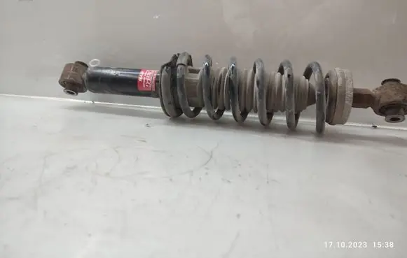 Citroen C5 Rear shock absorber with coil spring 