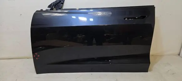 Tesla Model 3 Front door
