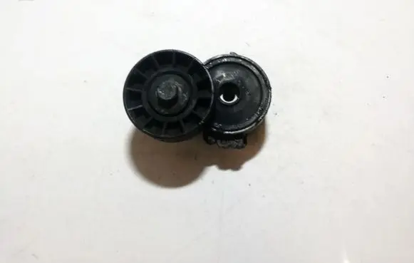 Peugeot 607 Generator/alternator belt tensioner