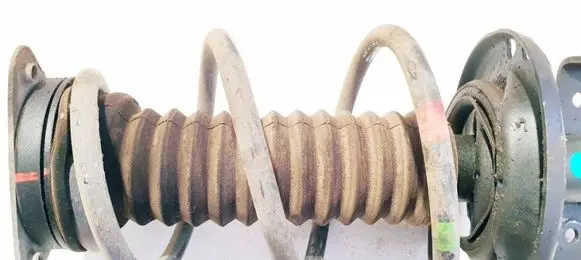 Renault Zoe Front coil spring 