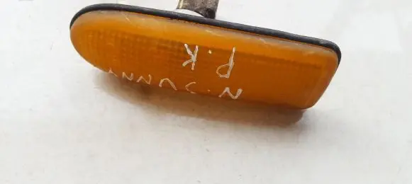 Nissan Sunny Front fender indicator light