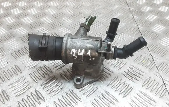Thermostat/thermostat housing