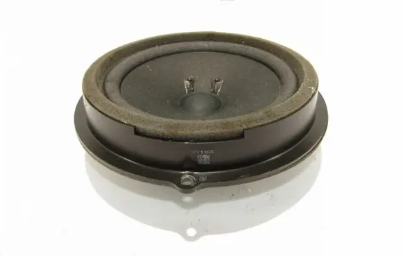 Rear door speaker