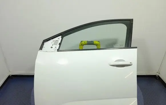 Dacia Sandero Front door 
