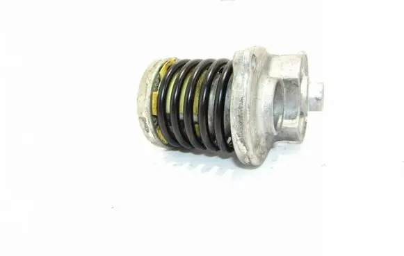 Volkswagen Crafter Alternator belt tensioner 1006503