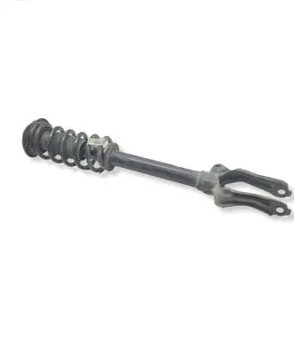 Dodge Durango Front shock absorber with coil spring 68280981AC 55553E 68280981