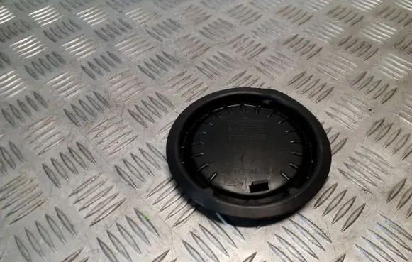 Other rear door trim element