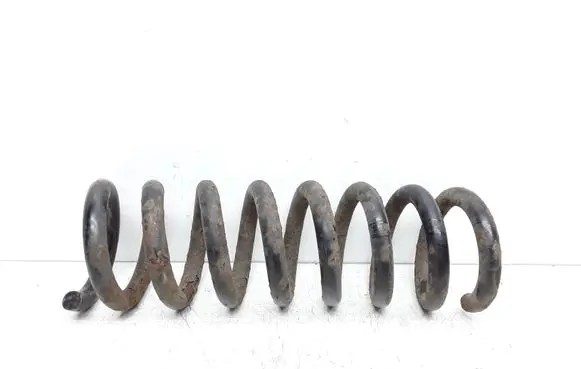 Rear coil spring