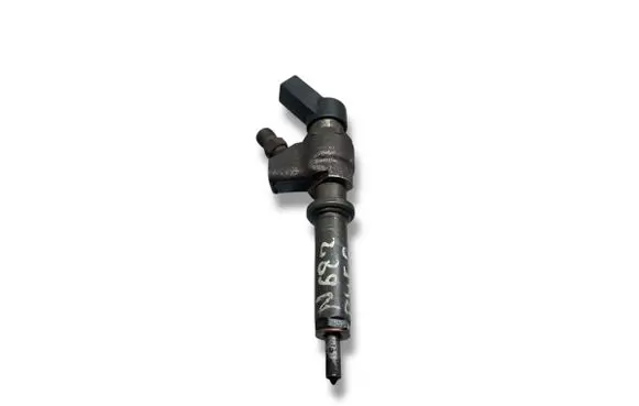 Peugeot 406 Fuel injector 9636819380