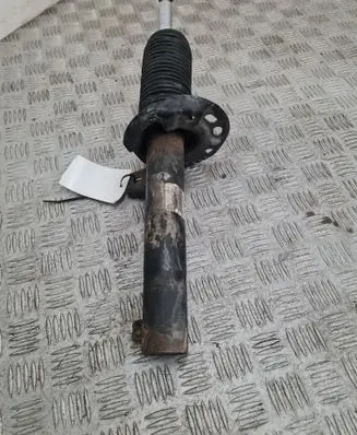 Volkswagen Golf V Front shock absorber/damper 