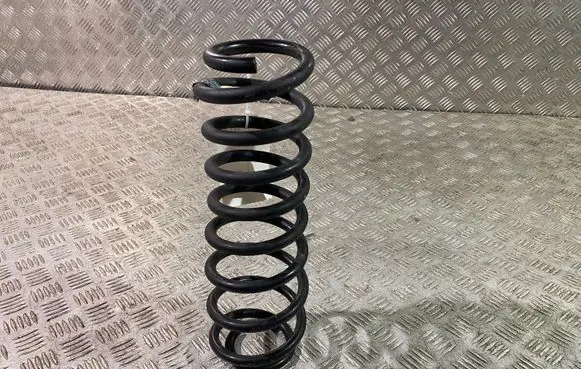 Ford Mustang V Rear coil spring