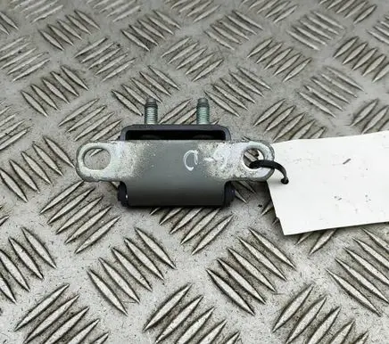 Tailgate/trunk/boot hinge