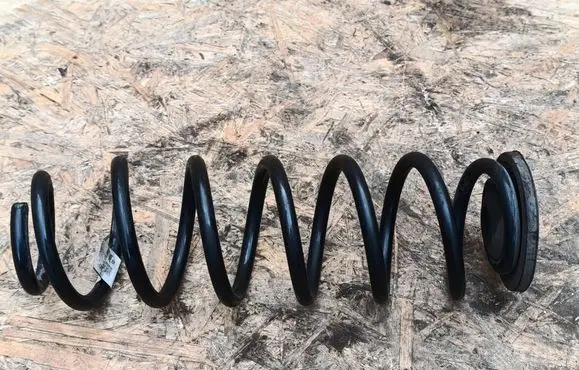 Rear coil spring