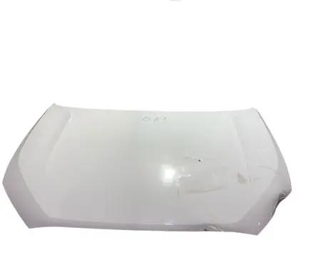 Engine bonnet/hood