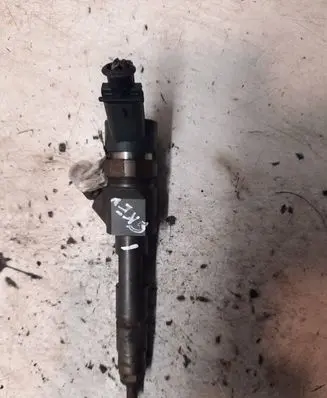 Renault Scenic I Fuel injector 8200389369