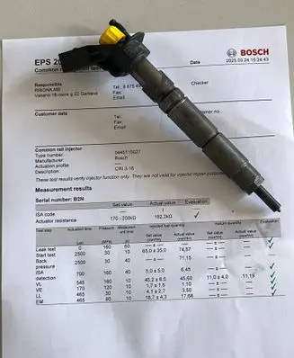 Mercedes-Benz R W251 Fuel injector A6420700587 0445115027