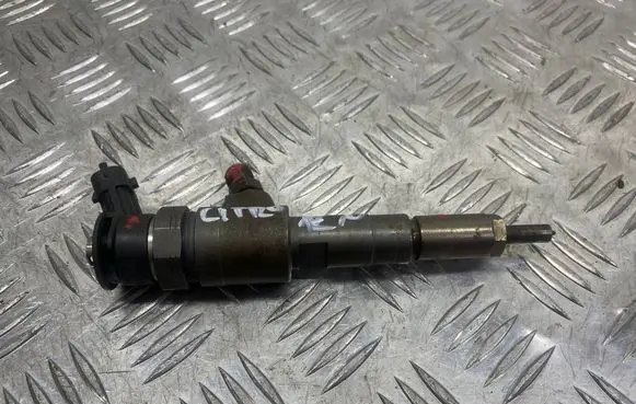 Citroen C3 Fuel injector 0445110252