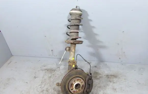 Fiat Punto (199) Front shock absorber with coil spring
