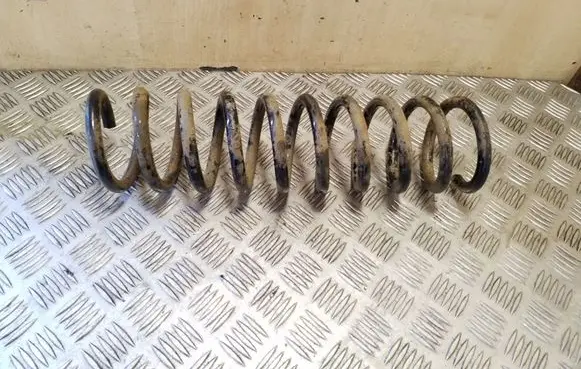Ford Kuga I Rear coil spring