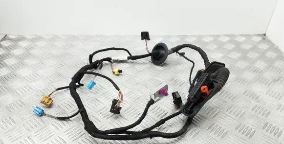 Front door wiring loom