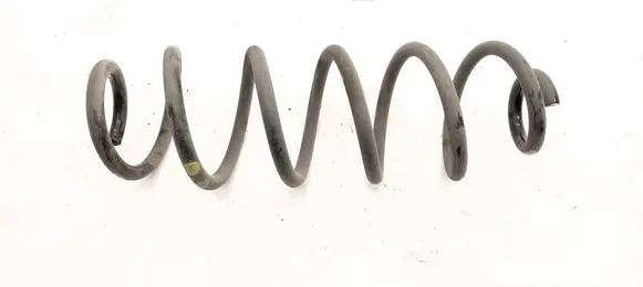 Rear coil spring