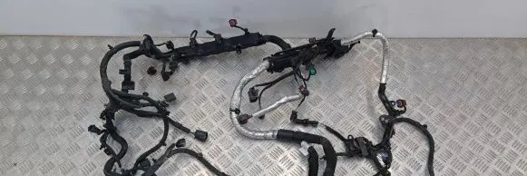 Engine installation wiring loom