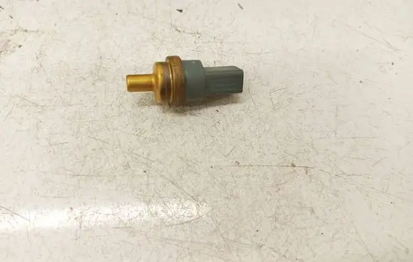 Skoda Octavia Mk2 (1Z) Coolant temperature sensor 06A919501A