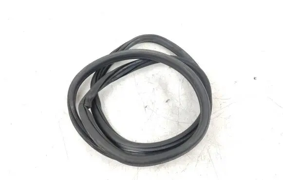 BMW M3 F80 Rubber seal rear door 7258311