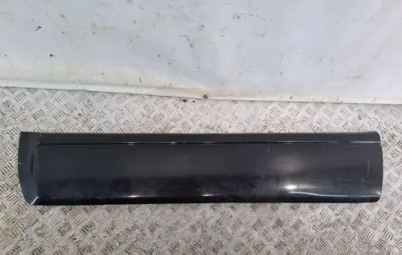 Front door trim (molding)