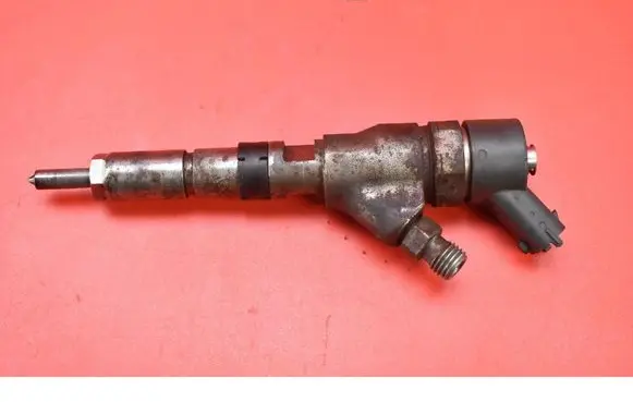 Peugeot Boxer Fuel injector 0445110076