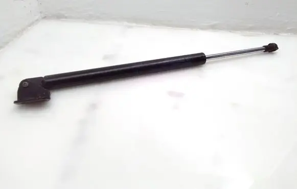 Tailgate/trunk strut/damper