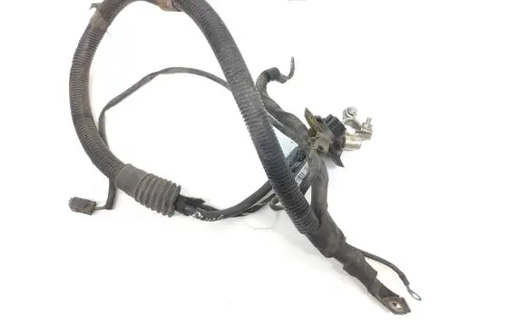 Mercedes-Benz B W245 Negative earth cable (battery) A1695400209