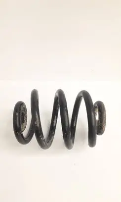 Rear coil spring