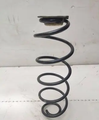 Rear coil spring