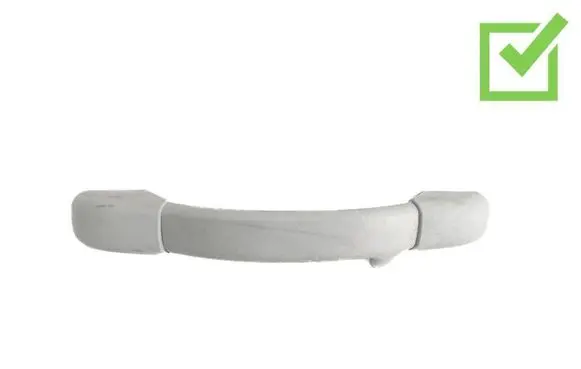 Peugeot 1007 Front interior roof grab handle 