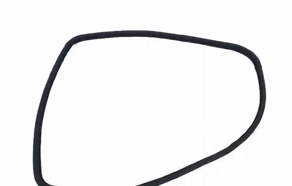 Dodge Charger Rubber seal rear door 1253183251