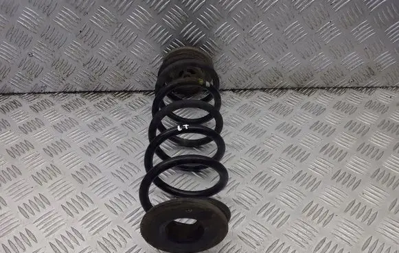 Skoda Octavia Mk2 (1Z) Rear coil spring