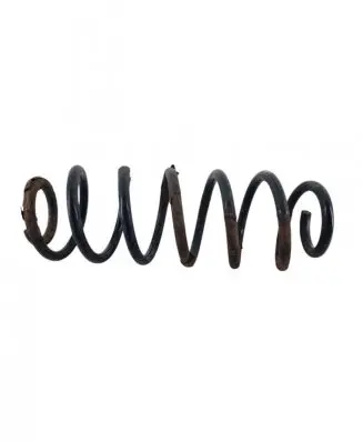 Volkswagen Jetta V Rear coil spring