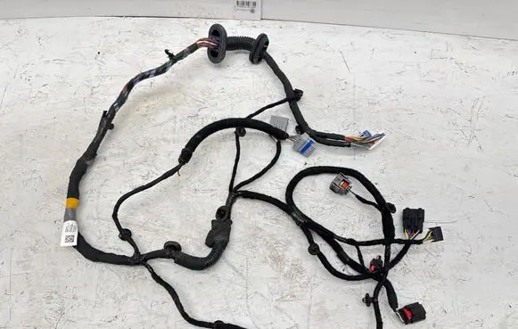 Tesla Model S Front door wiring loom 248639700C