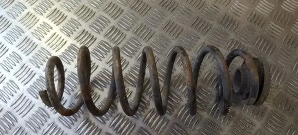Rear coil spring