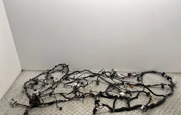 Renault Austral Other wiring loom 240103483S 315610301